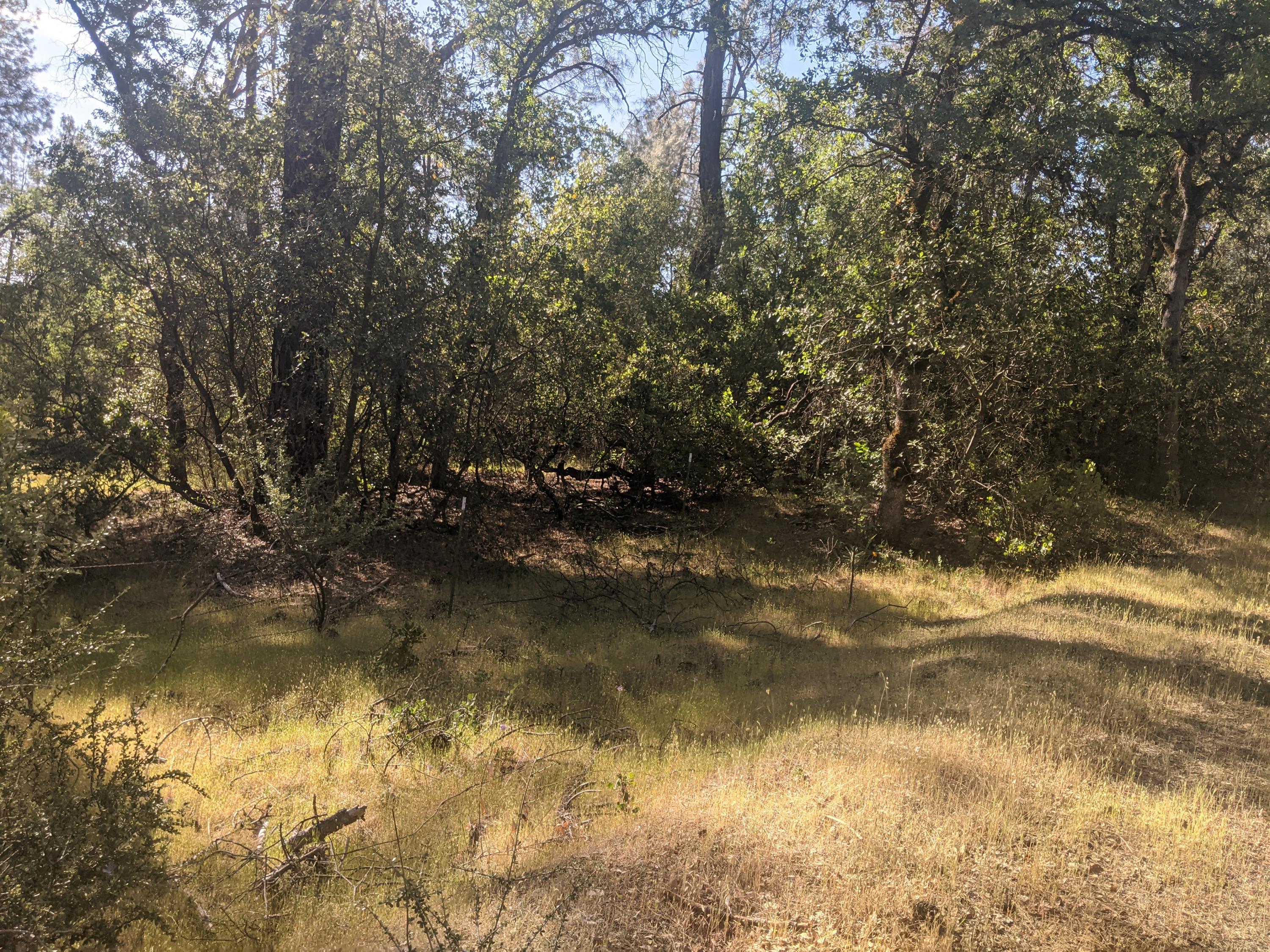 PXL_20210511_160035374