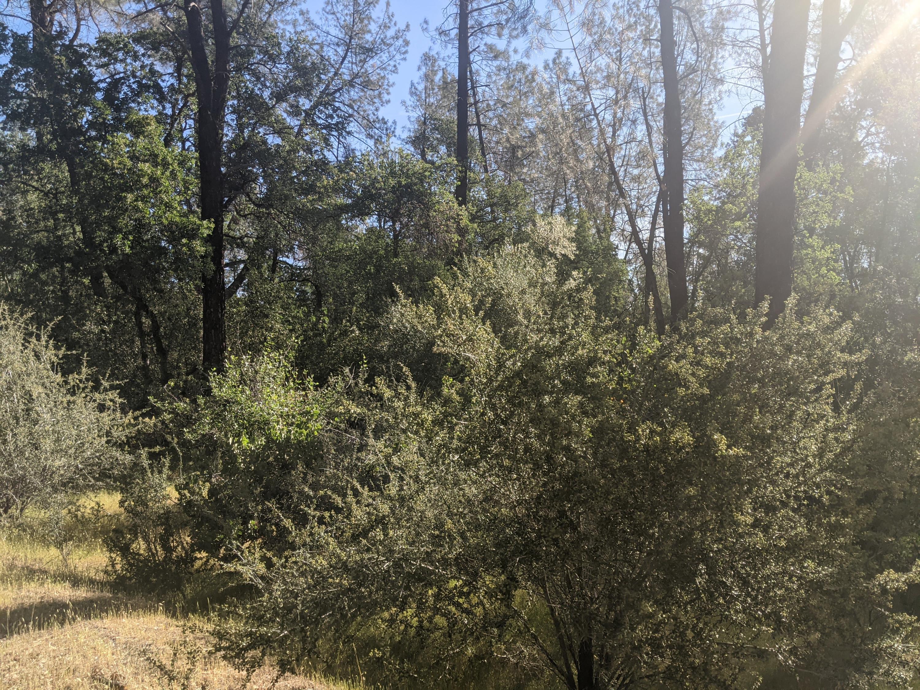 PXL_20210511_160032018