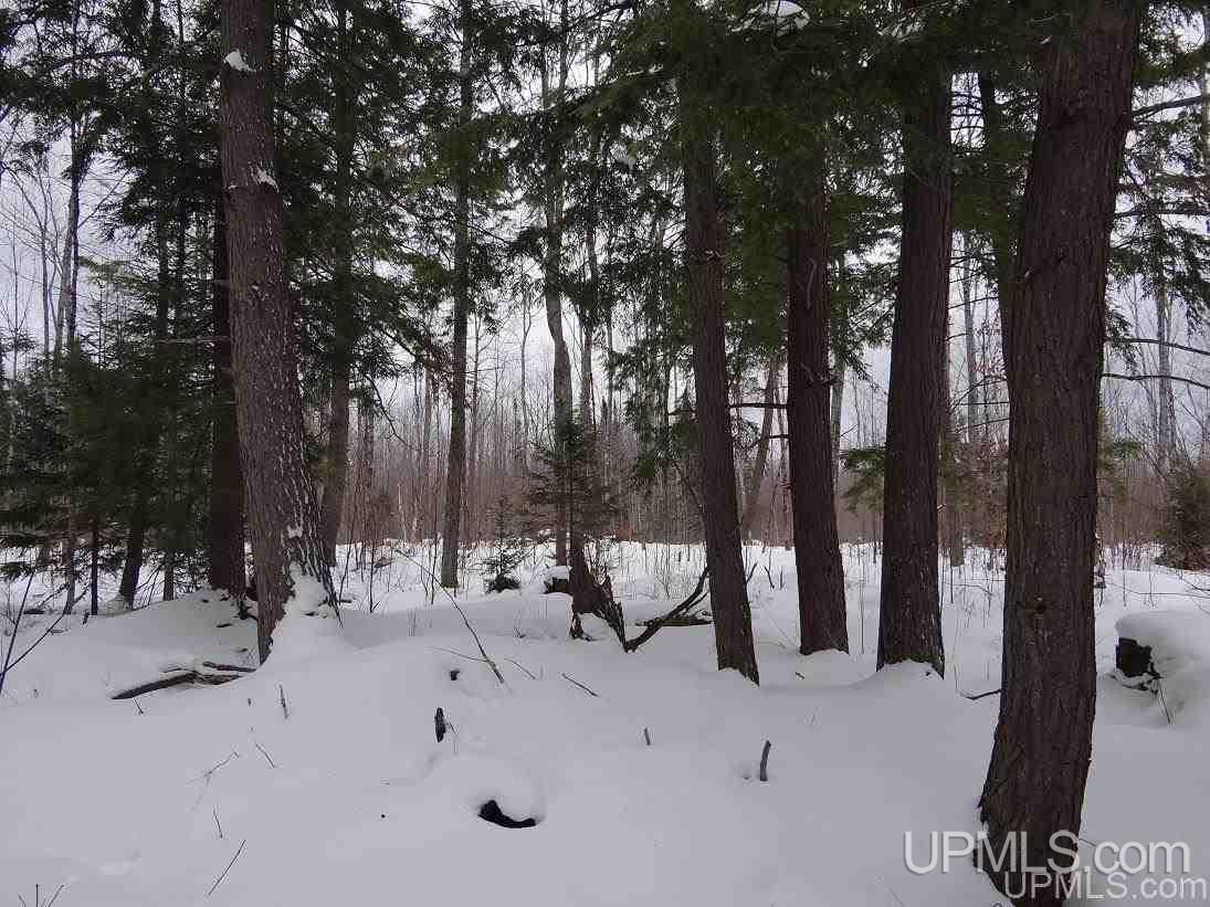 Tbd Old Rink Road Toivola, MI 49965 - Photo 20 of 31 Gallery Image 20