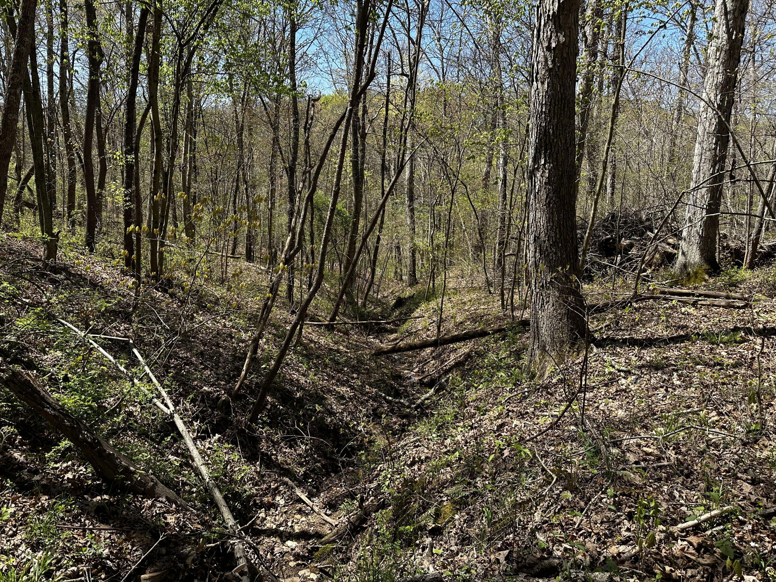 0 Jisco Road, Unit TRACT B) Jackson, OH 45640 - Photo 40 of 43 40