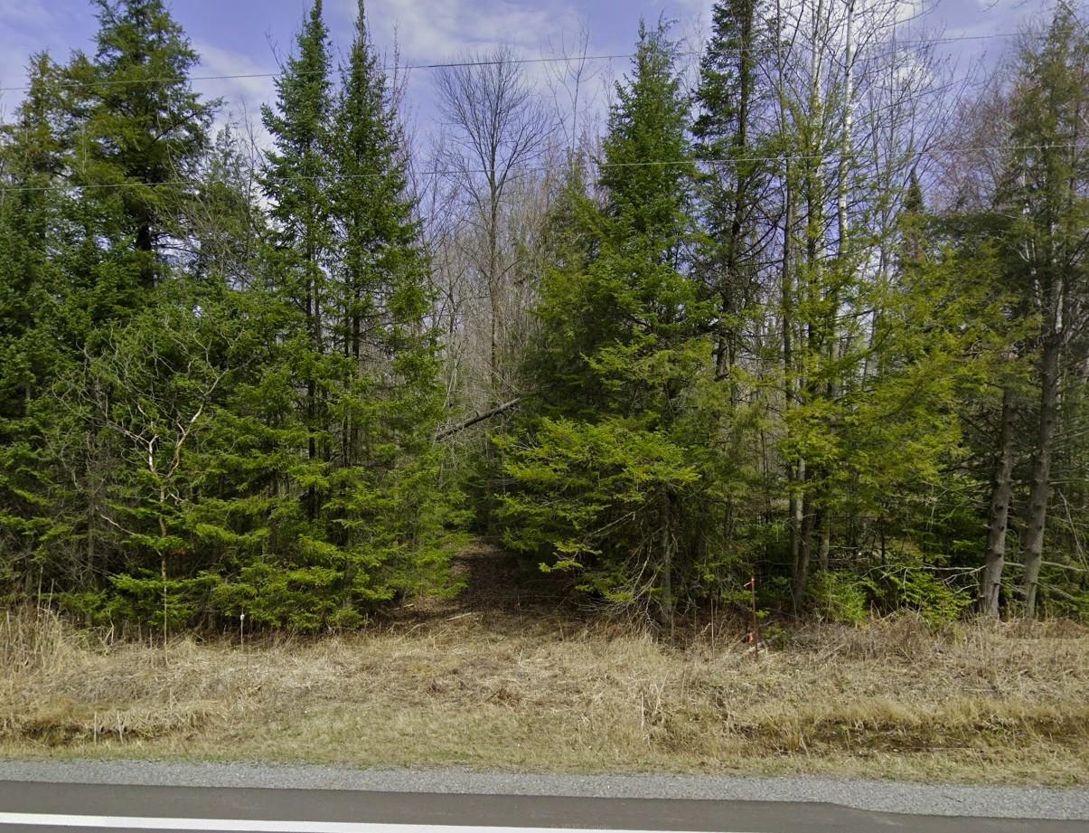 Lot 6 Gusman Road Schofield, WI 54476 - Photo 4 of 4