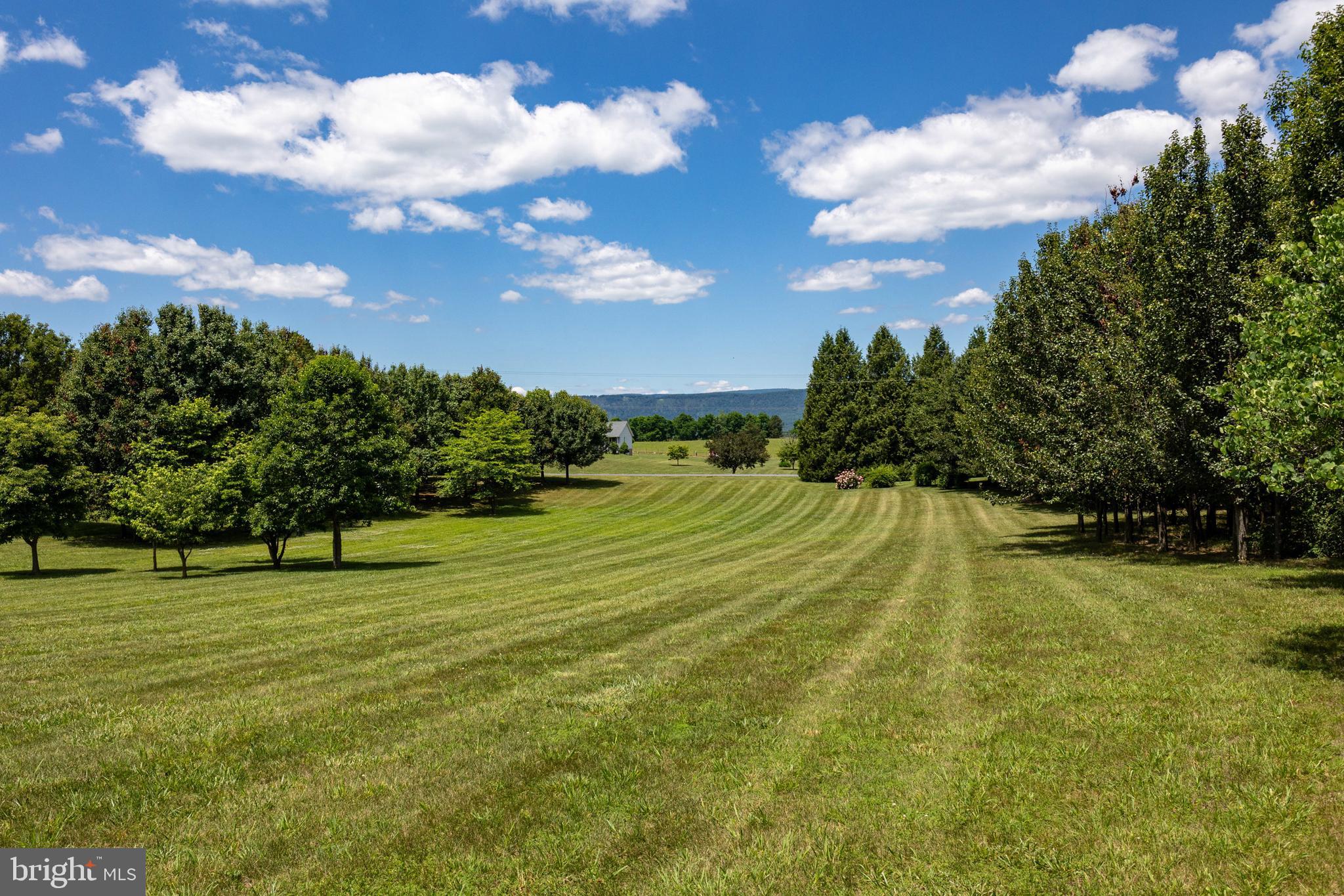825 Parkview Estates Road Luray, VA 22835 - Photo 24 of 31