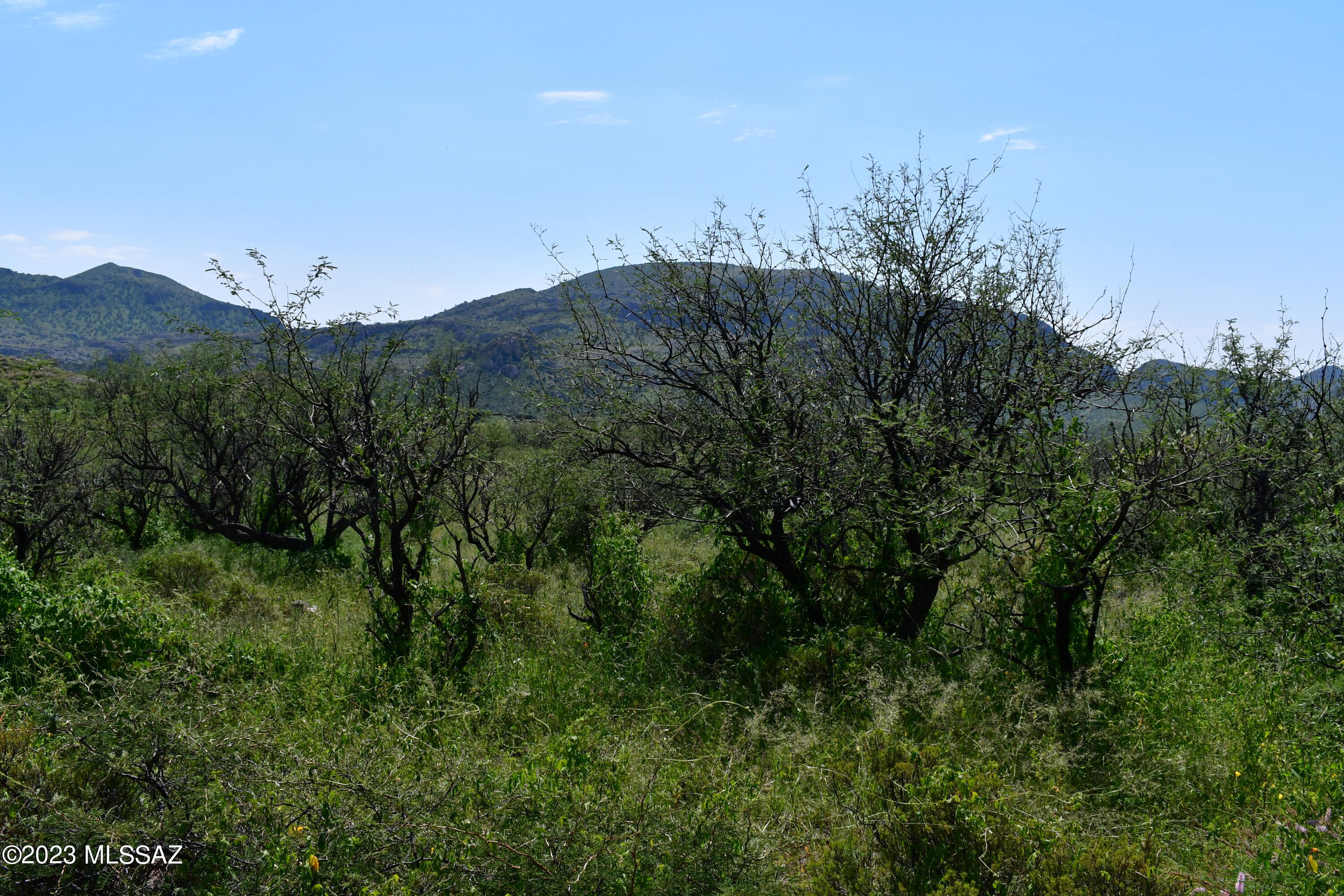 0 Mesquite Trail, Unit 131 Rio Rico, AZ 85648 - Photo 3 of 12 Gallery Image 3