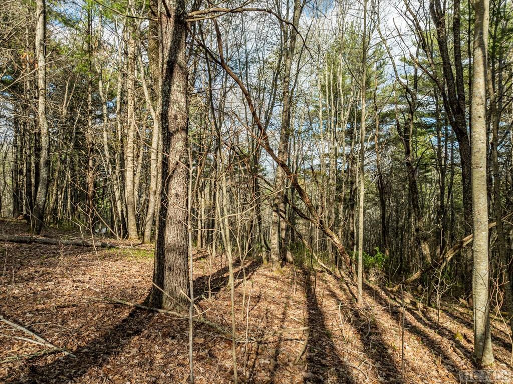 Lot 1 Center Ridge Road Sylva, NC 28779 - Photo 2 of 17 Gallery Image 2