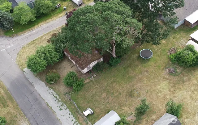 a view of a backyard with plants and a lake view