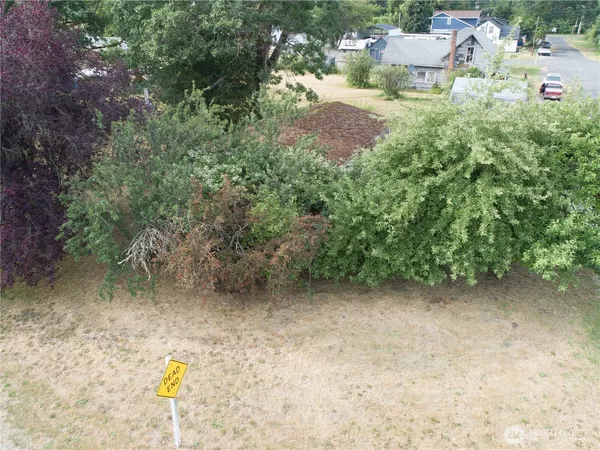 a aerial view of a house with a yard and large tree