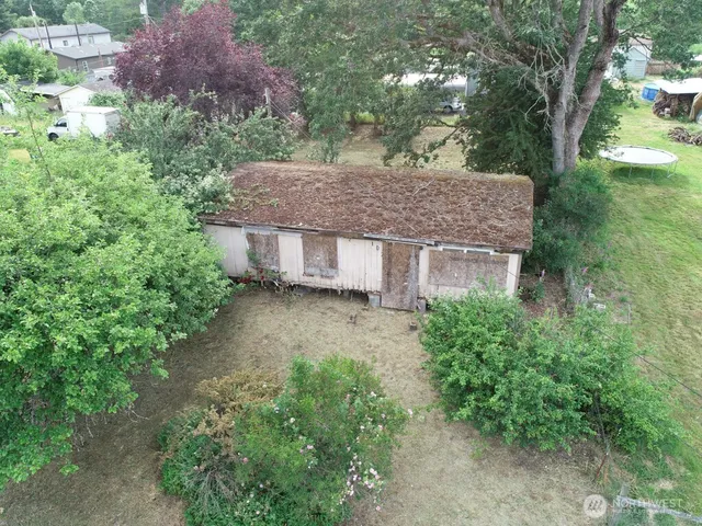 a view of a garden with plants