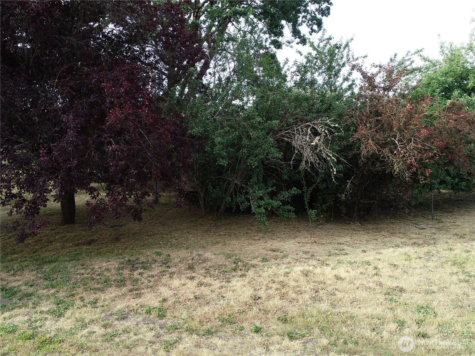 312 2nd Street Roy, WA 98580 - Photo 8 of 11