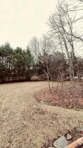 a view of a yard with a tree