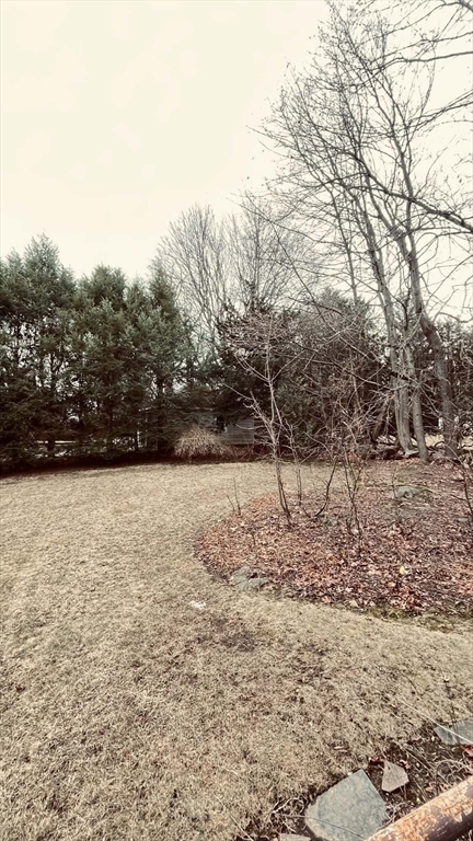 21 Lawrence Lane Belmont, MA 02478 - Photo 11 of 13 a view of a yard with a tree