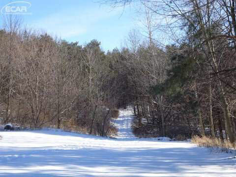 3398 North Washburn Road Lapeer, MI 48446 - Photo 6 of 36
