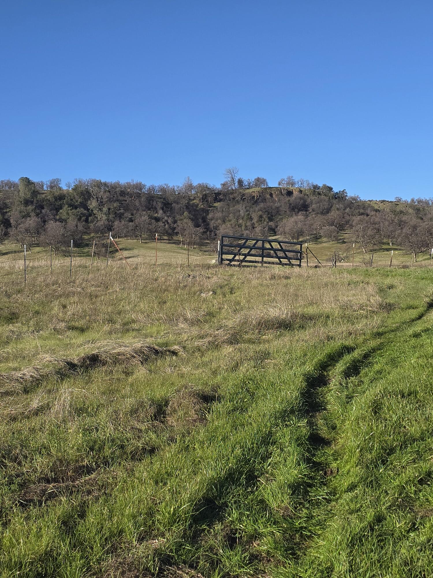 12012 Oak Run Road Oak Run, CA 96069 - Photo 2 of 11 a view of lake and mountain