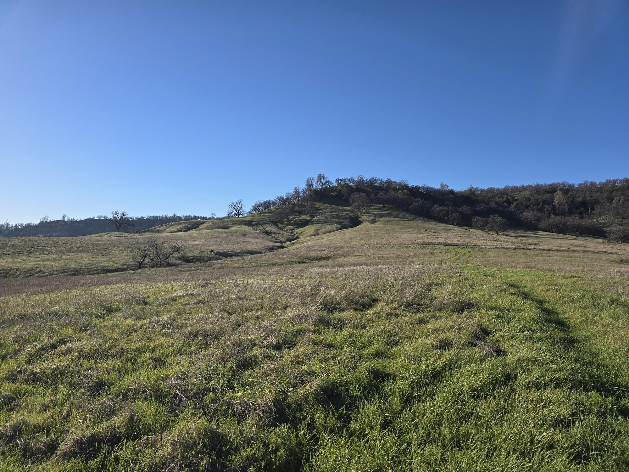 12012 Oak Run Road Oak Run, CA 96069 - Photo 5 of 11 a view of mountain view and mountain view