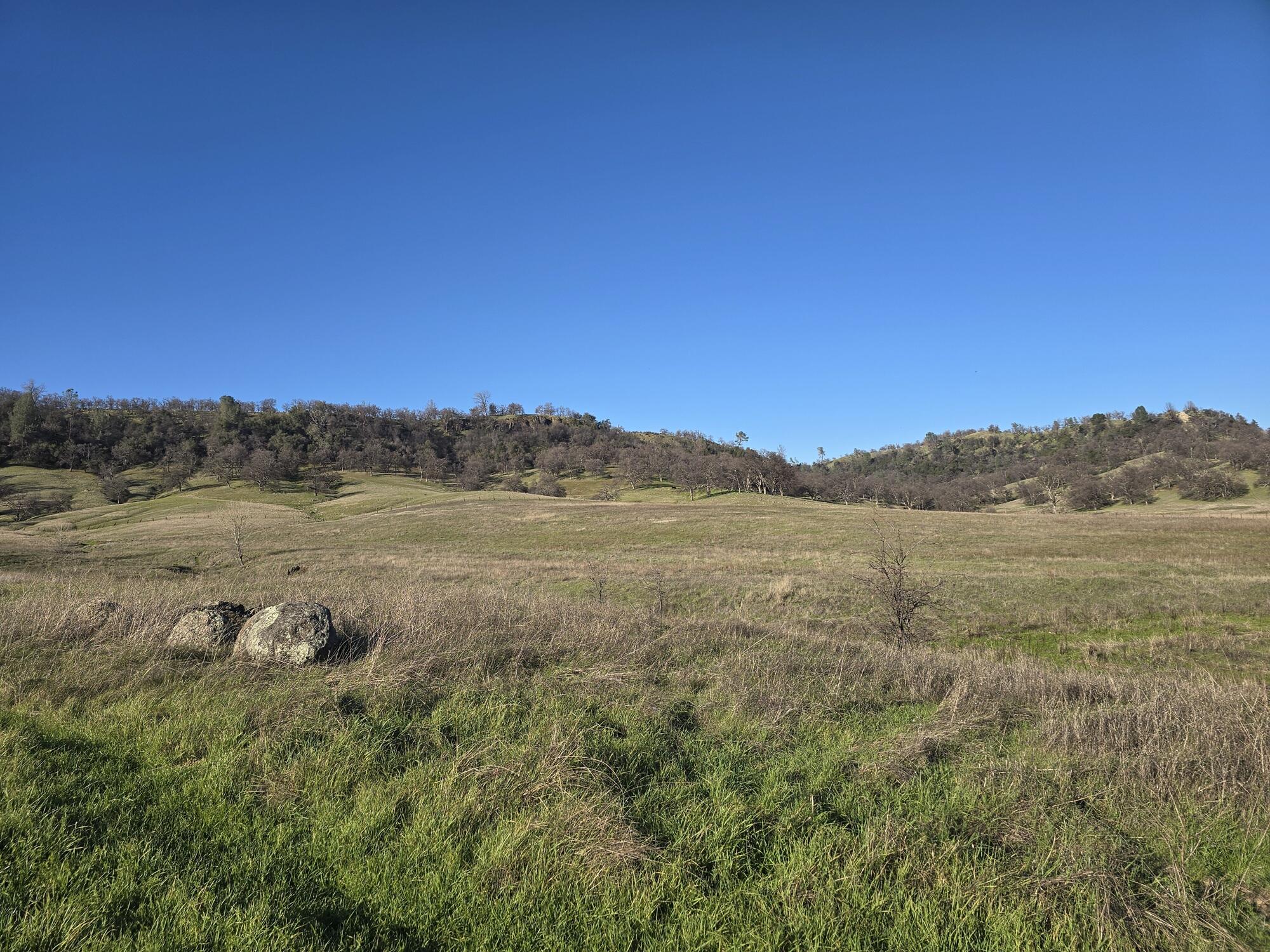 12012 Oak Run Road Oak Run, CA 96069 - Photo 6 of 11