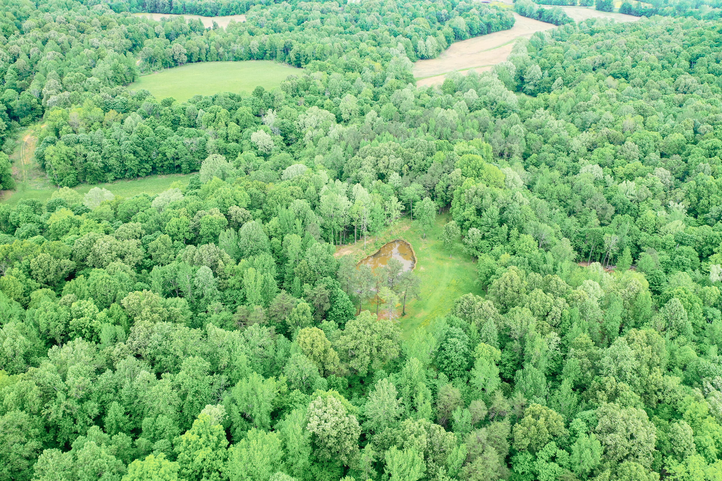 406 Lakewood Road, Unit TRACT 2 Princeton, KY 42445 - Photo 29 of 31 20260427-DJI_0312