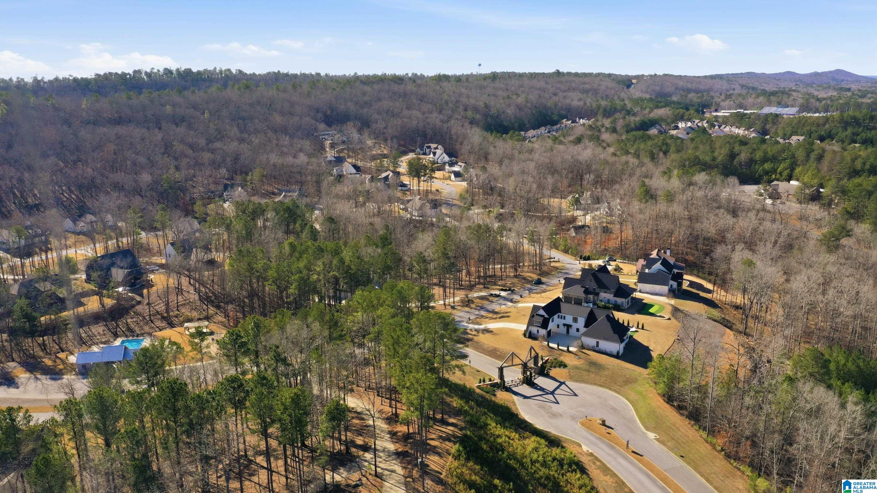 300 Timberview Trail Chelsea, AL 35043 - Photo 68 of 71