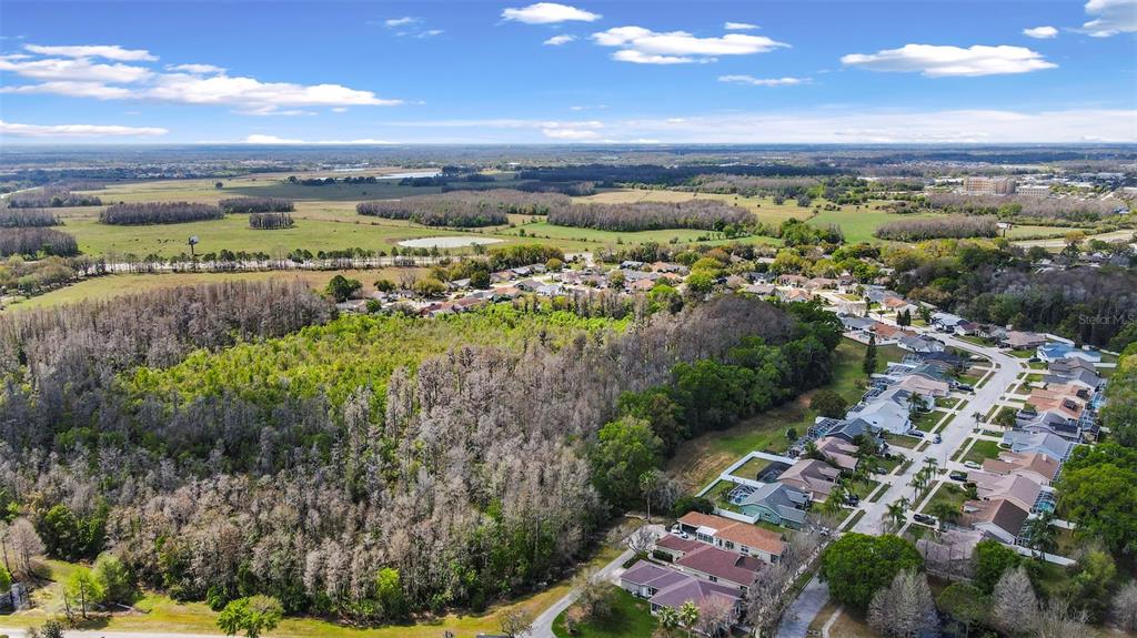 3141 Town Avenue New Port Richey, FL 34655 - Photo 36 of 40