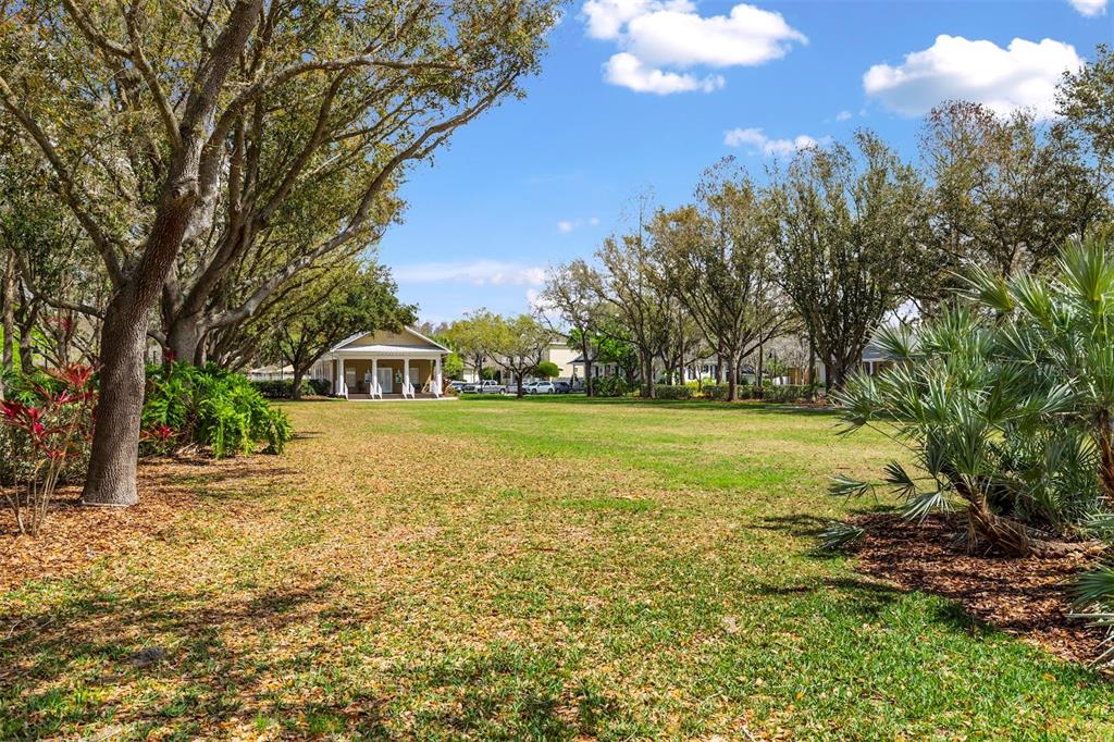 3141 Town Avenue New Port Richey, FL 34655 - Photo 40 of 40