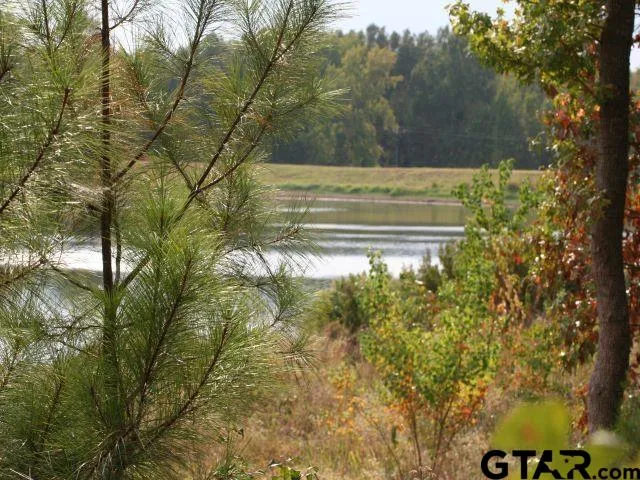 $219,900 | Lot 30 Acr 453, Montalba, TX 75853