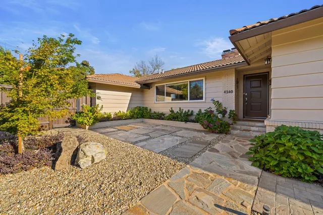 a view of a backyard