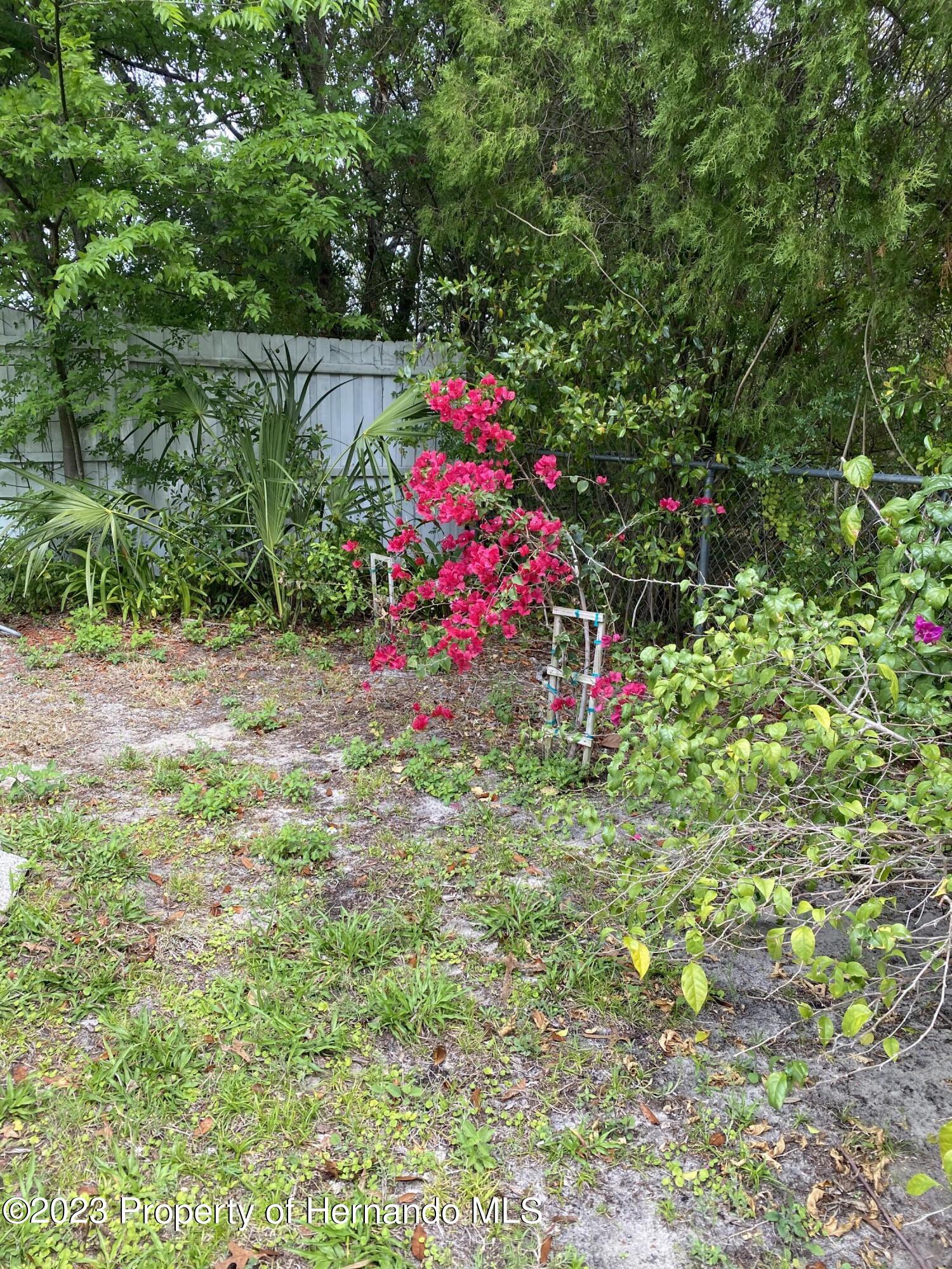 5026 Higate Road Spring Hill, FL 34609 - Photo 14 of 15 1C456364-E08B-4144-94BA-E6D606967972