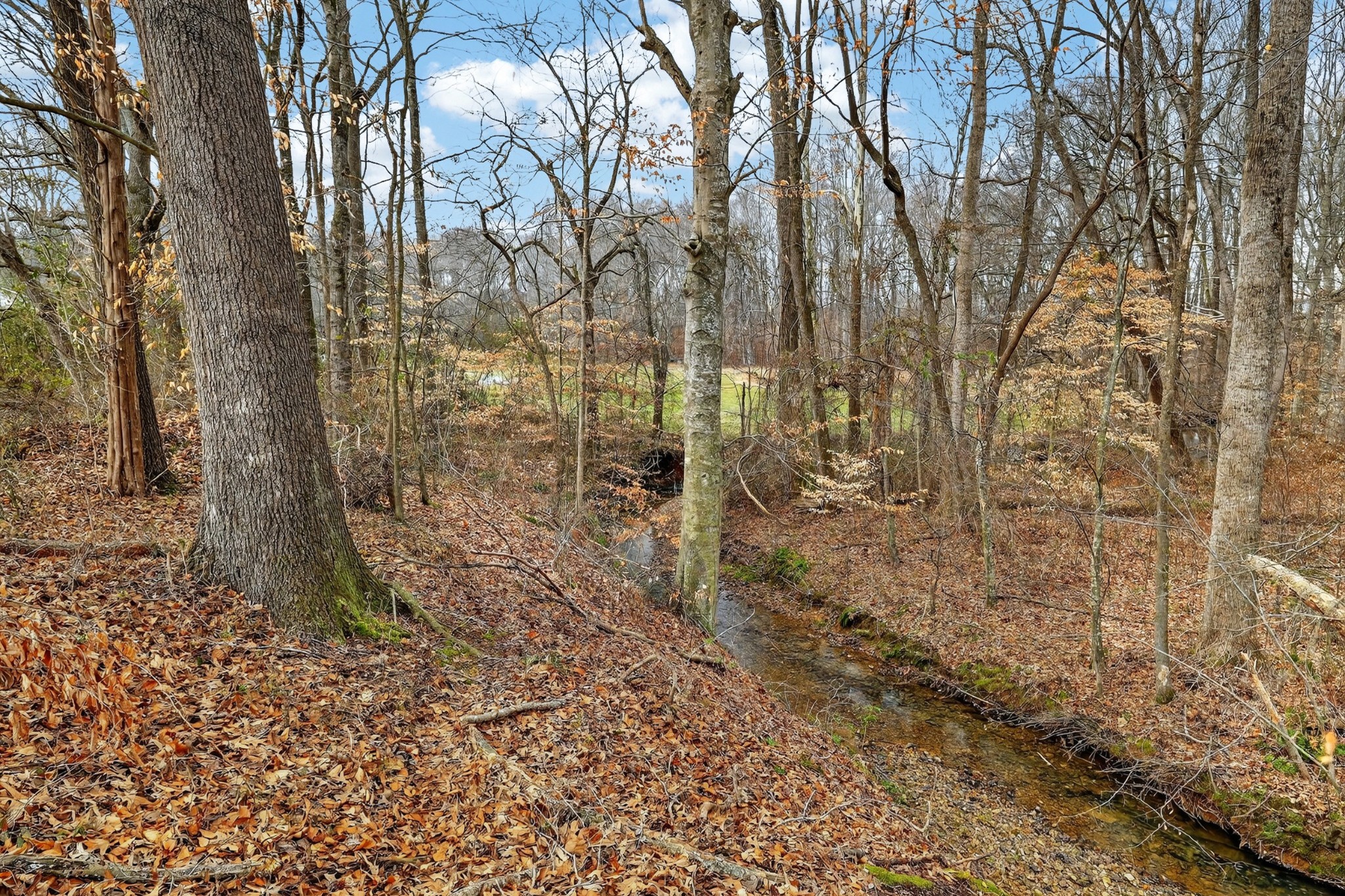 531 Oliver Smith Road Flintville, TN 37335 - Photo 46 of 49