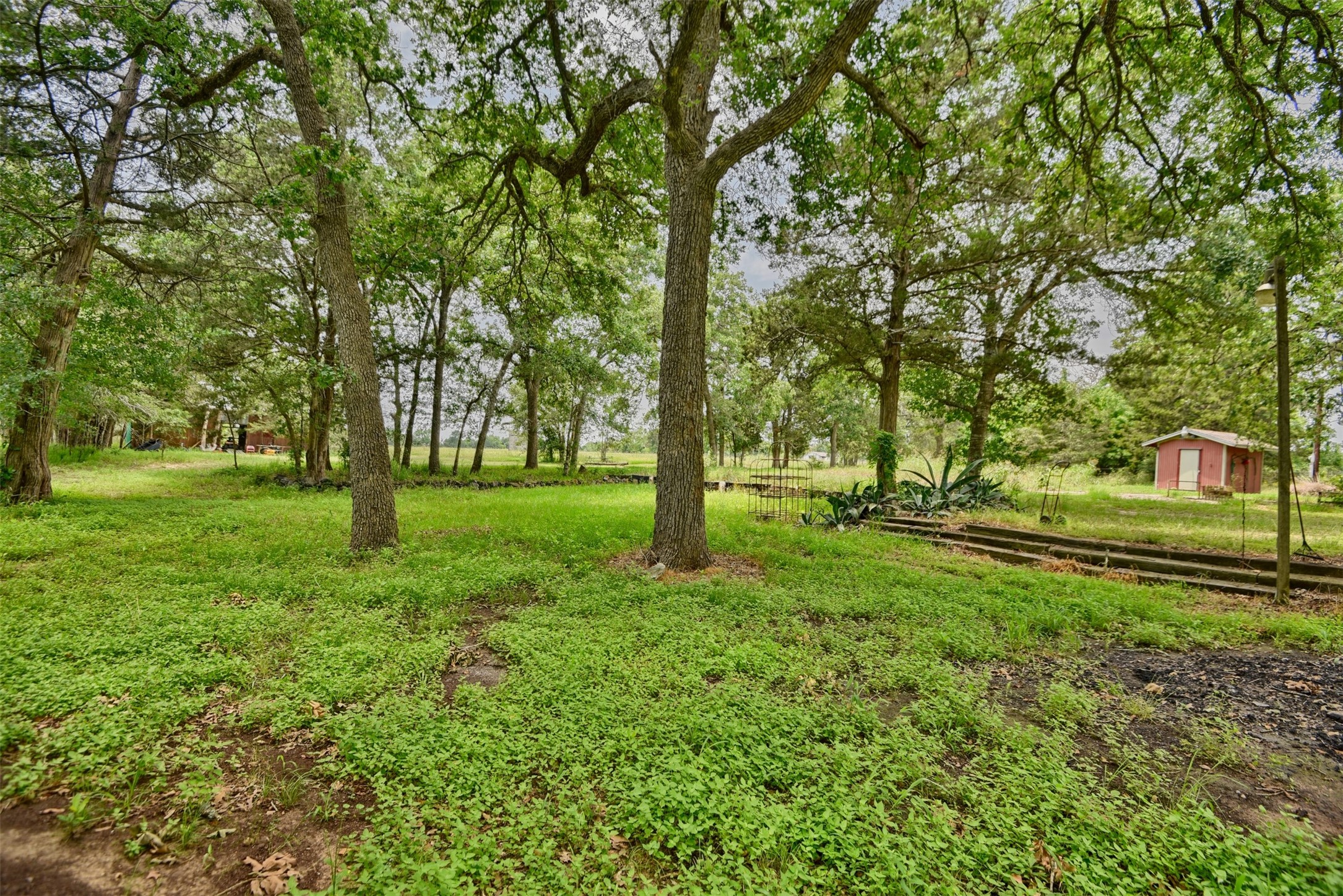 22305 Thistle Lane New Ulm, TX 78950 - Photo 30 of 33