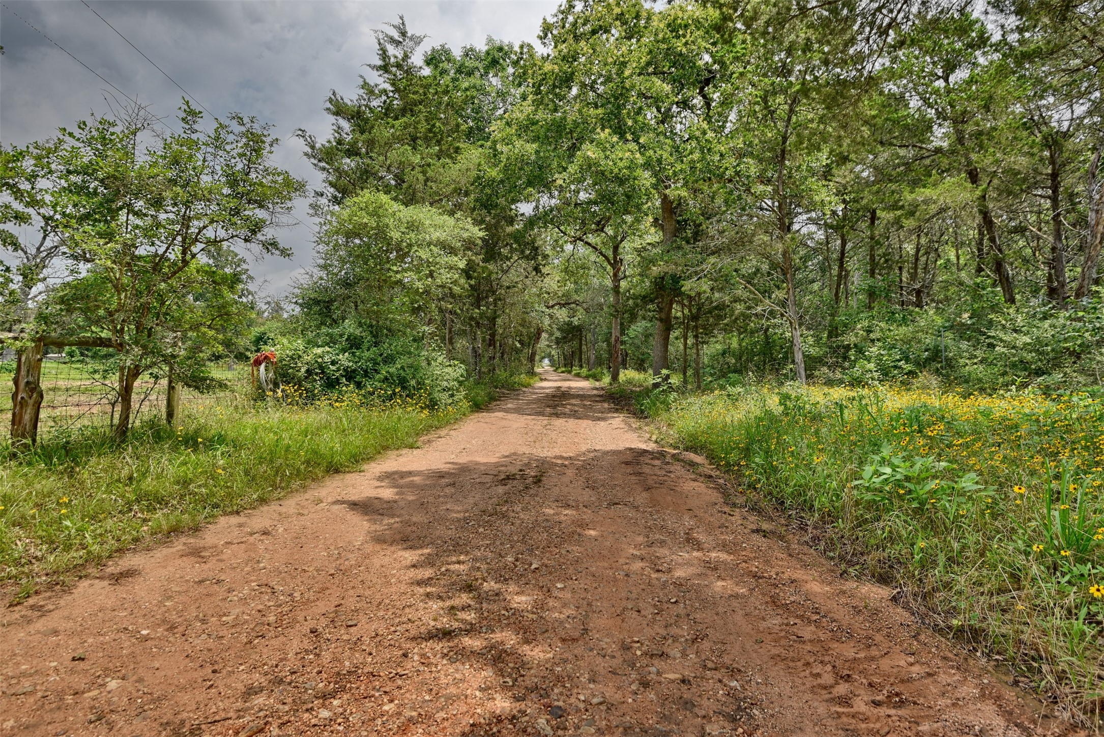 22305 Thistle Lane New Ulm, TX 78950 - Photo 3 of 33
