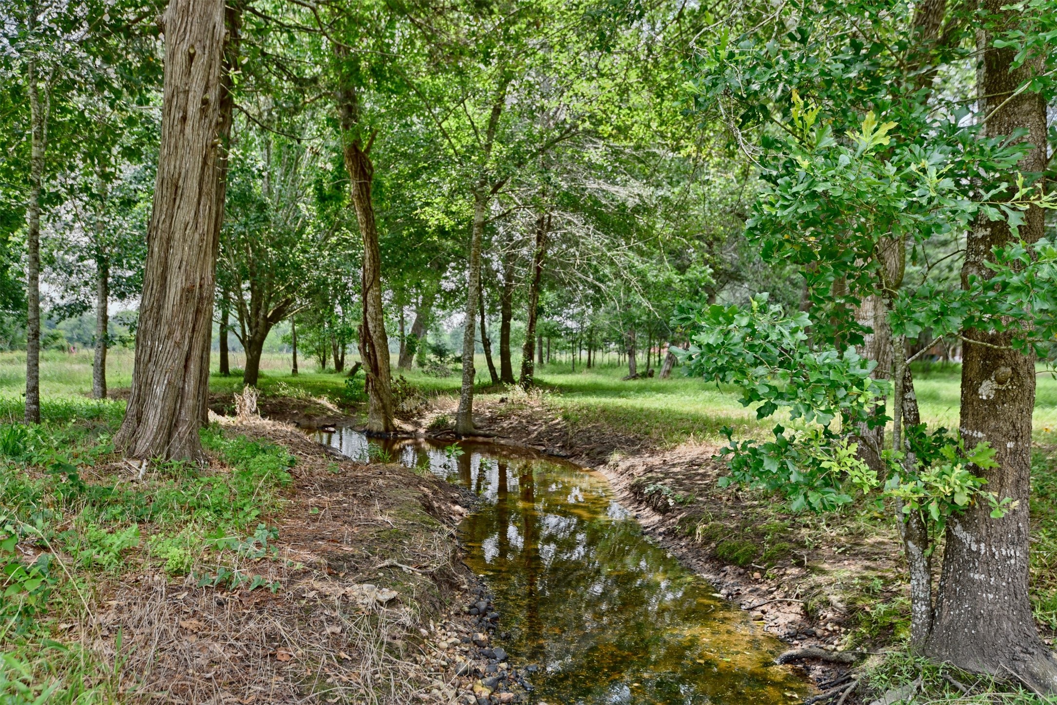 22305 Thistle Lane New Ulm, TX 78950 - Photo 31 of 33