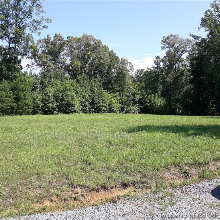 0 Deer Park Road Champlain, VA 22438 - Photo 6 of 9