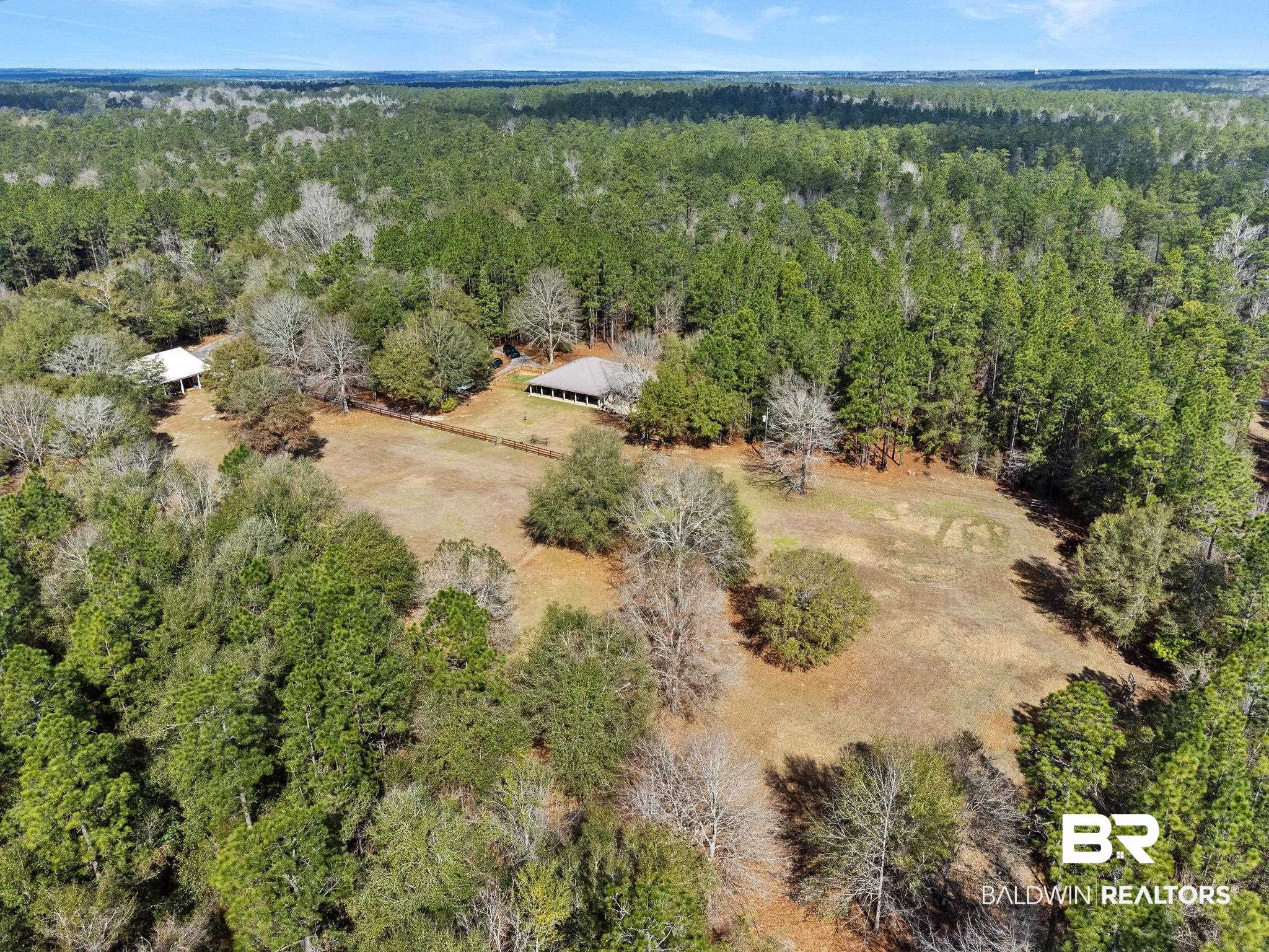 24250 Hack Road Bay Minette, AL 36507 - Photo 87 of 88 Bird's eye view of a forest