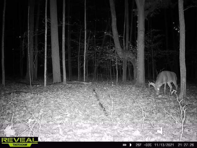 5094 East Burt Lake Road Cheboygan, MI 49721 - Photo 42 of 48 Gallery Image 42