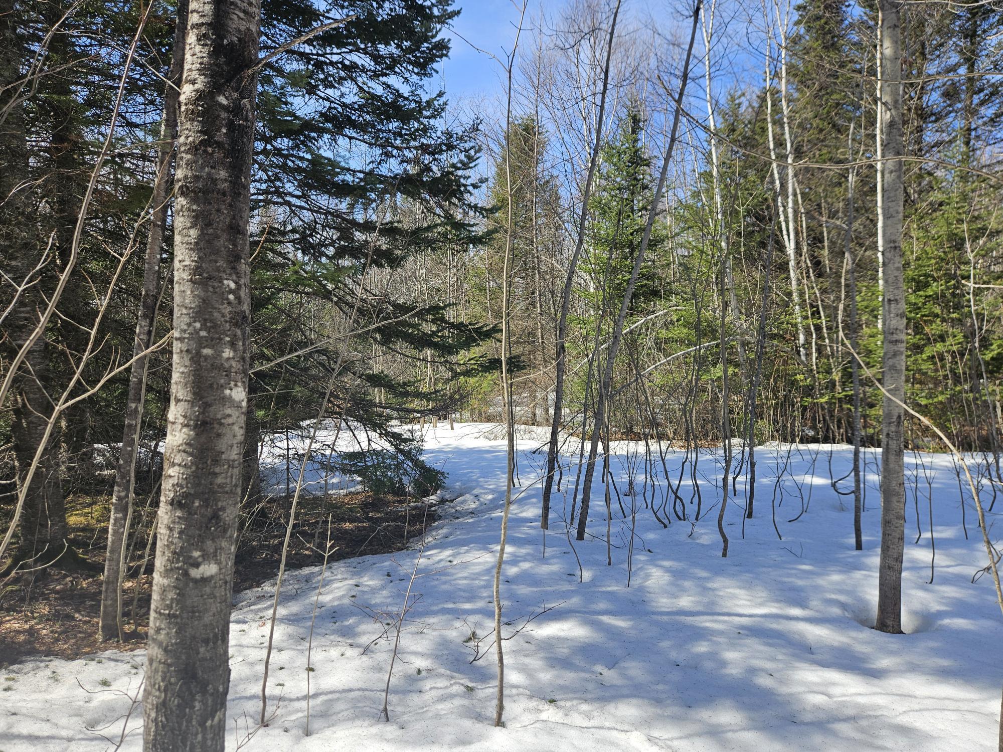 7-26-1 Huff Corner Road Wellington, ME 04942 - Photo 12 of 21 20250322_143600