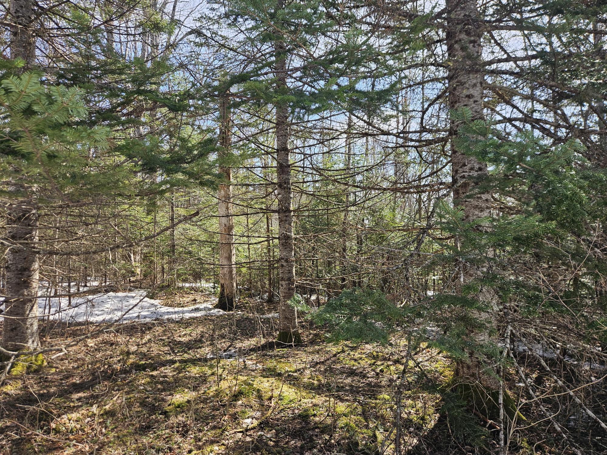 7-26-1 Huff Corner Road Wellington, ME 04942 - Photo 13 of 21 20250322_143711