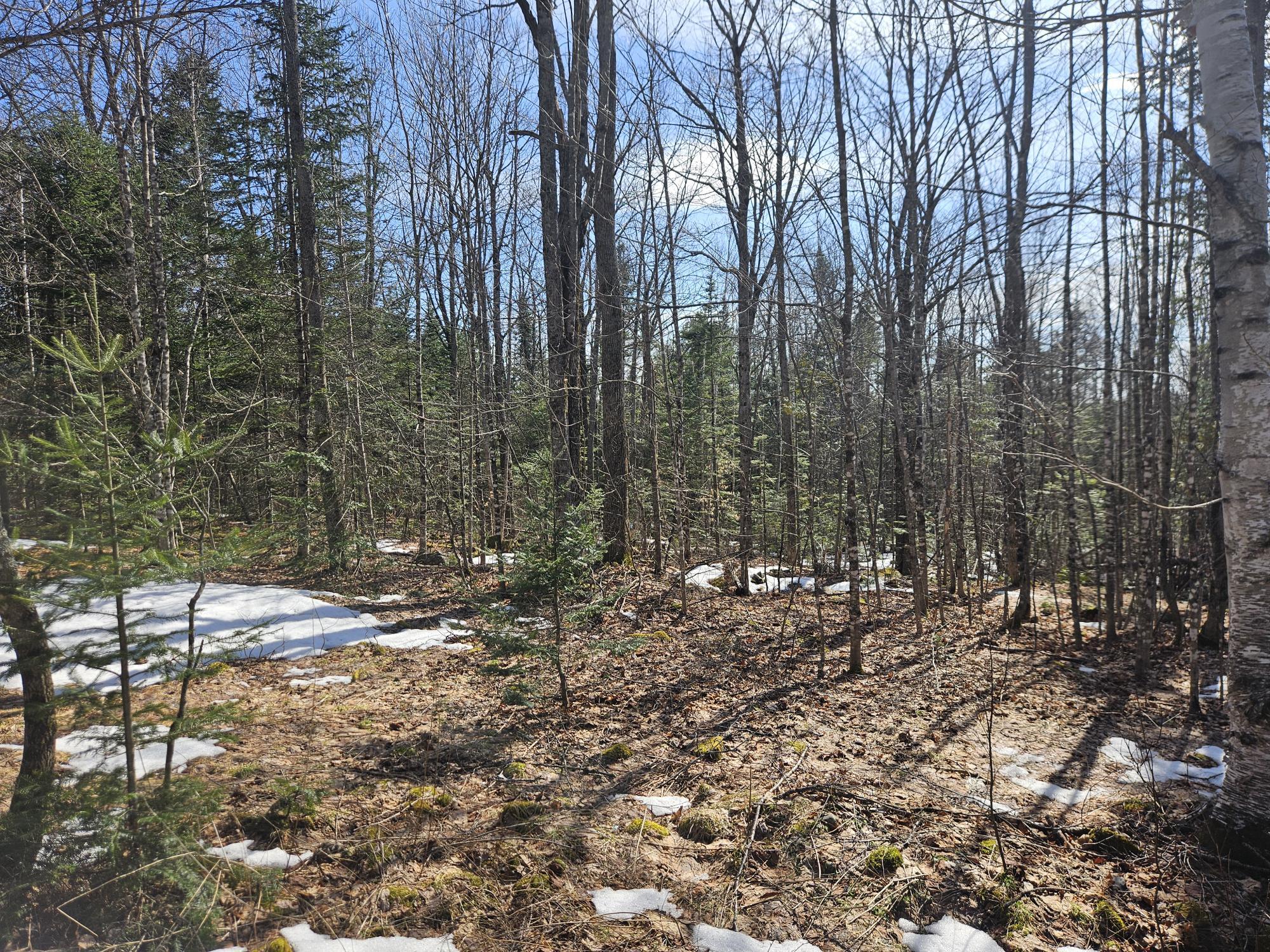 7-26-1 Huff Corner Road Wellington, ME 04942 - Photo 14 of 21 20250322_143743