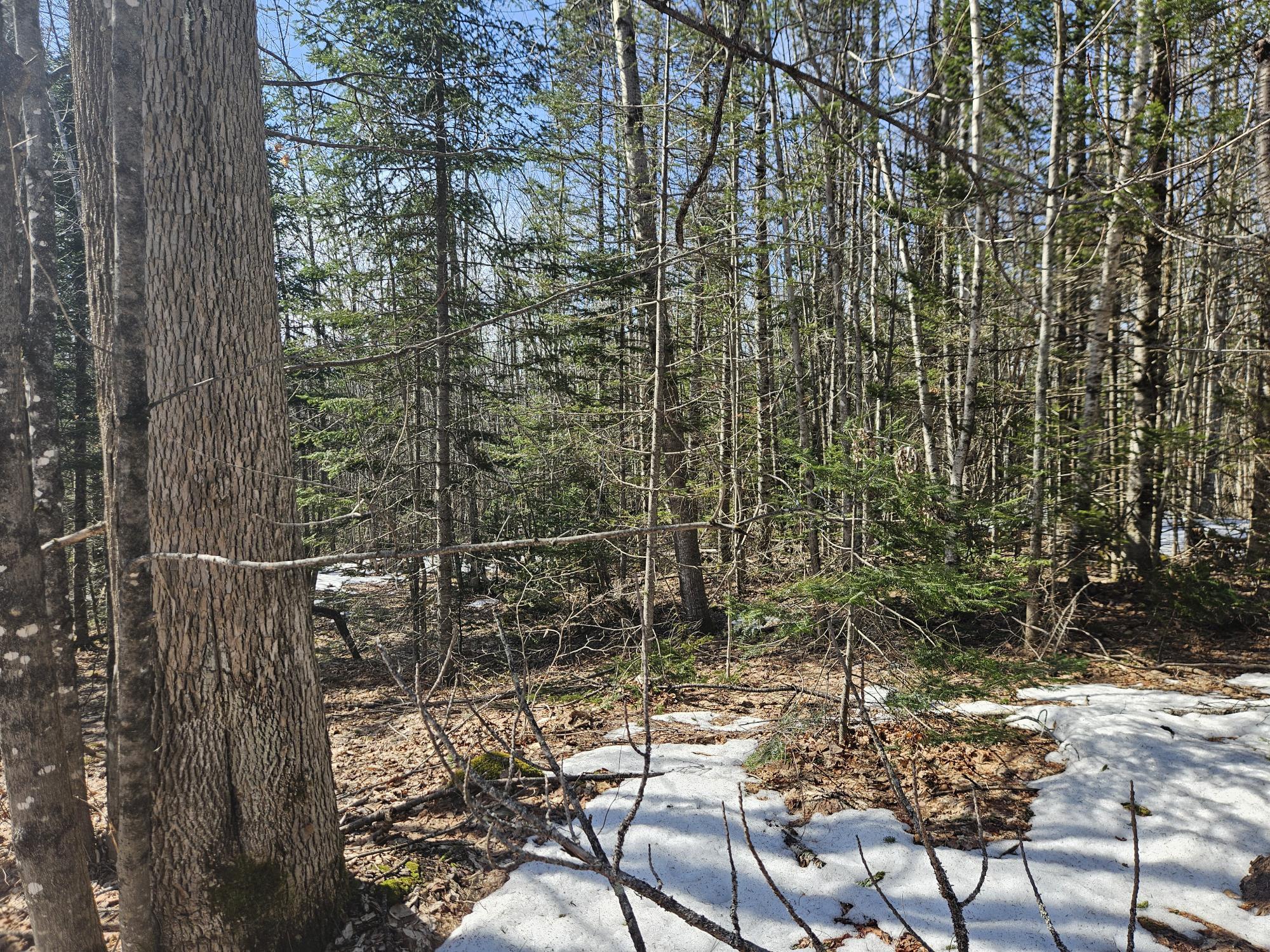 7-26-1 Huff Corner Road Wellington, ME 04942 - Photo 15 of 21 20250322_143756