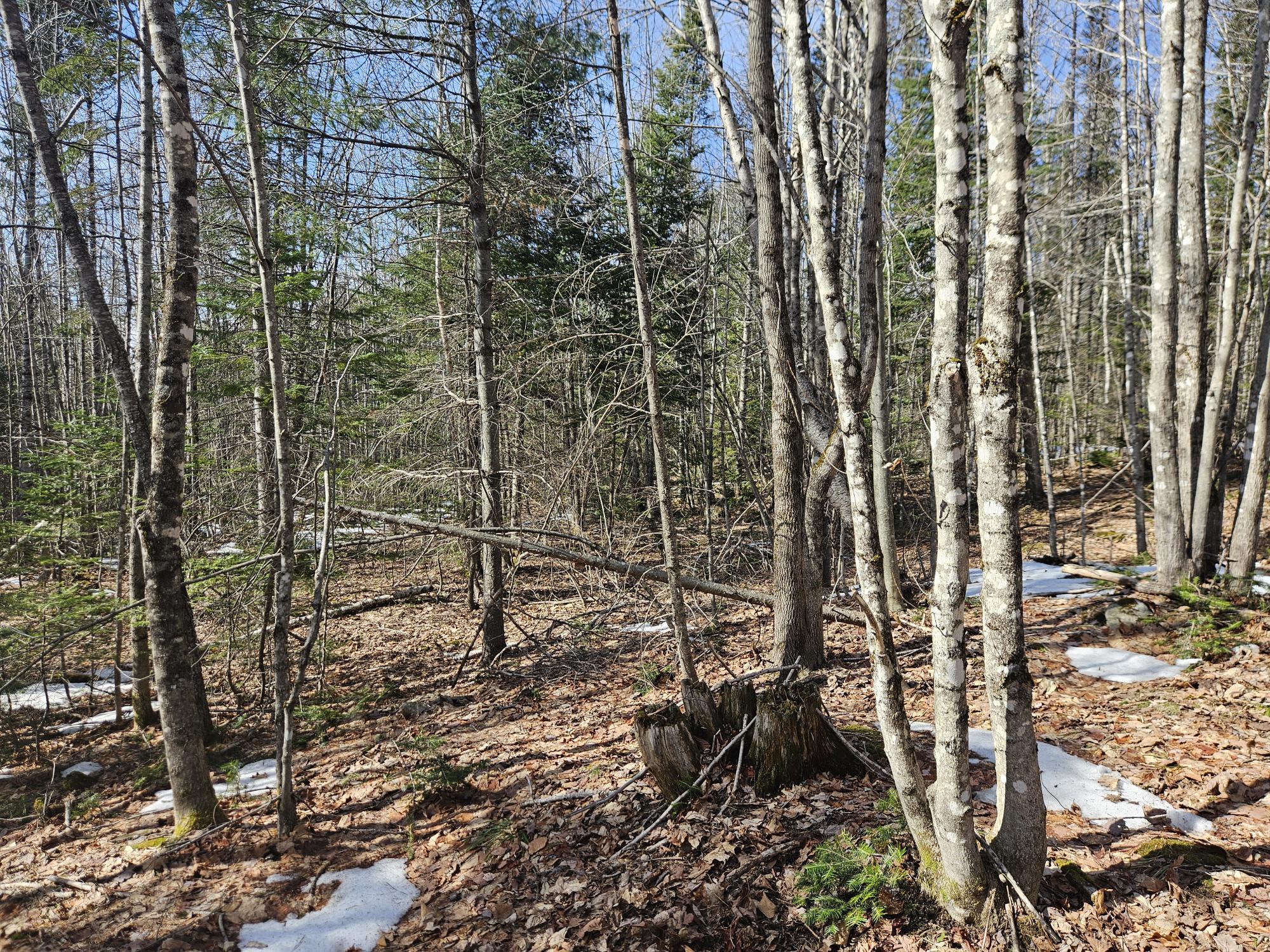 7-26-1 Huff Corner Road Wellington, ME 04942 - Photo 16 of 21 20250322_143824