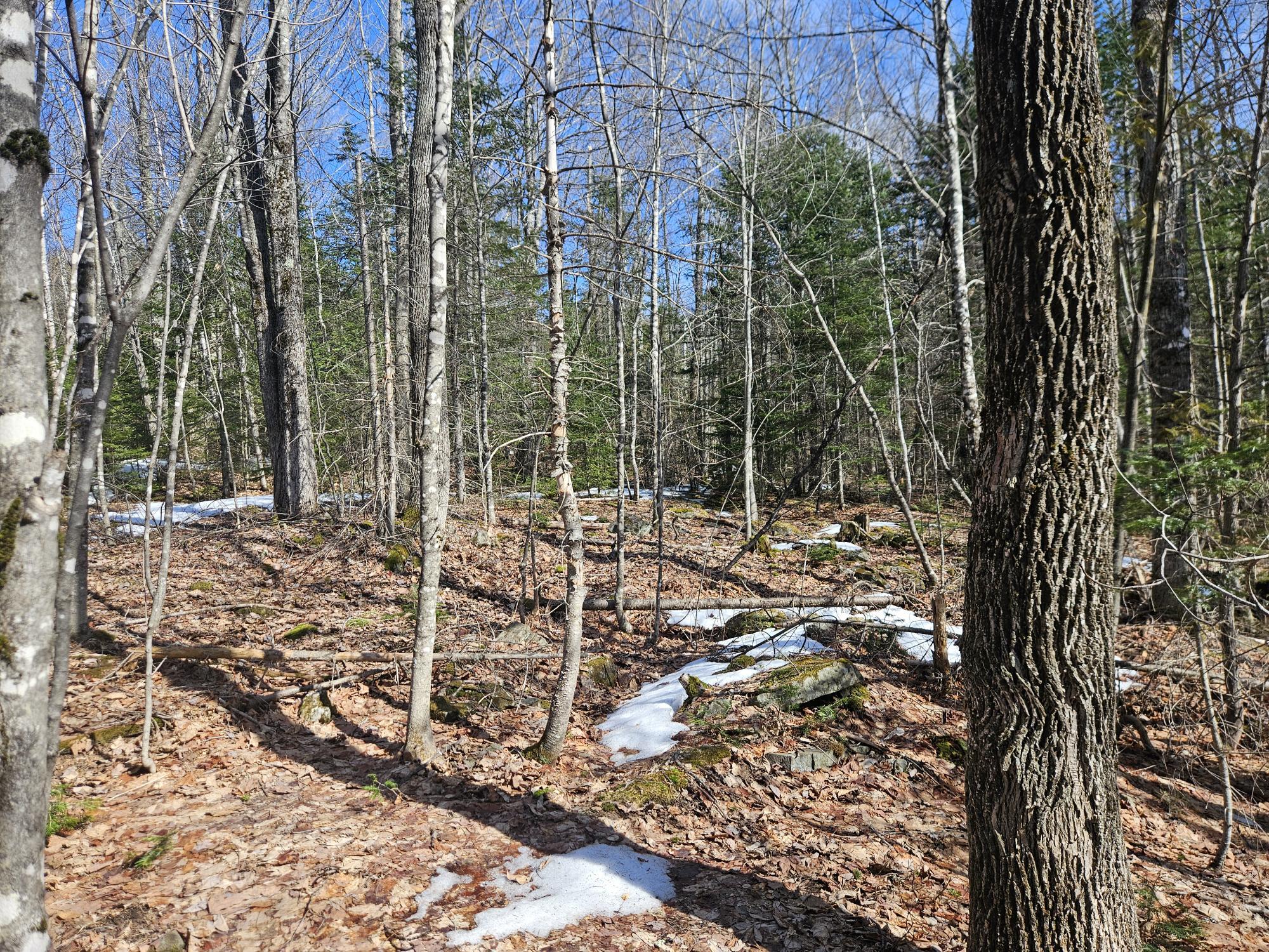 7-26-1 Huff Corner Road Wellington, ME 04942 - Photo 17 of 21 20250322_143829