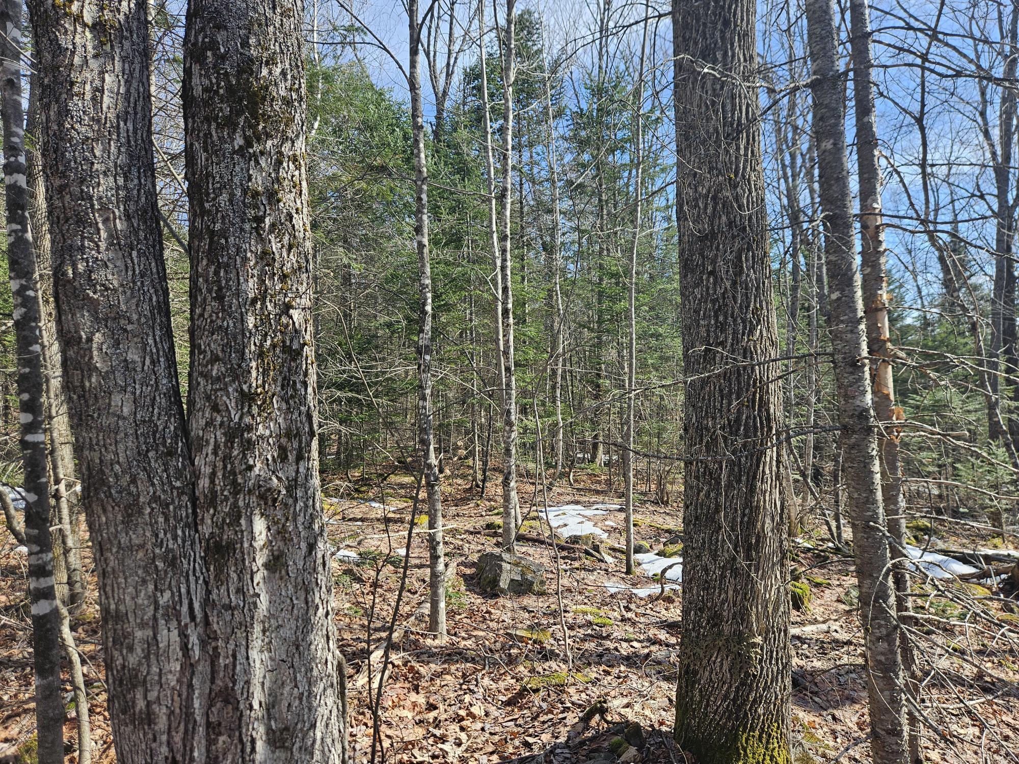 7-26-1 Huff Corner Road Wellington, ME 04942 - Photo 18 of 21 20250322_143847