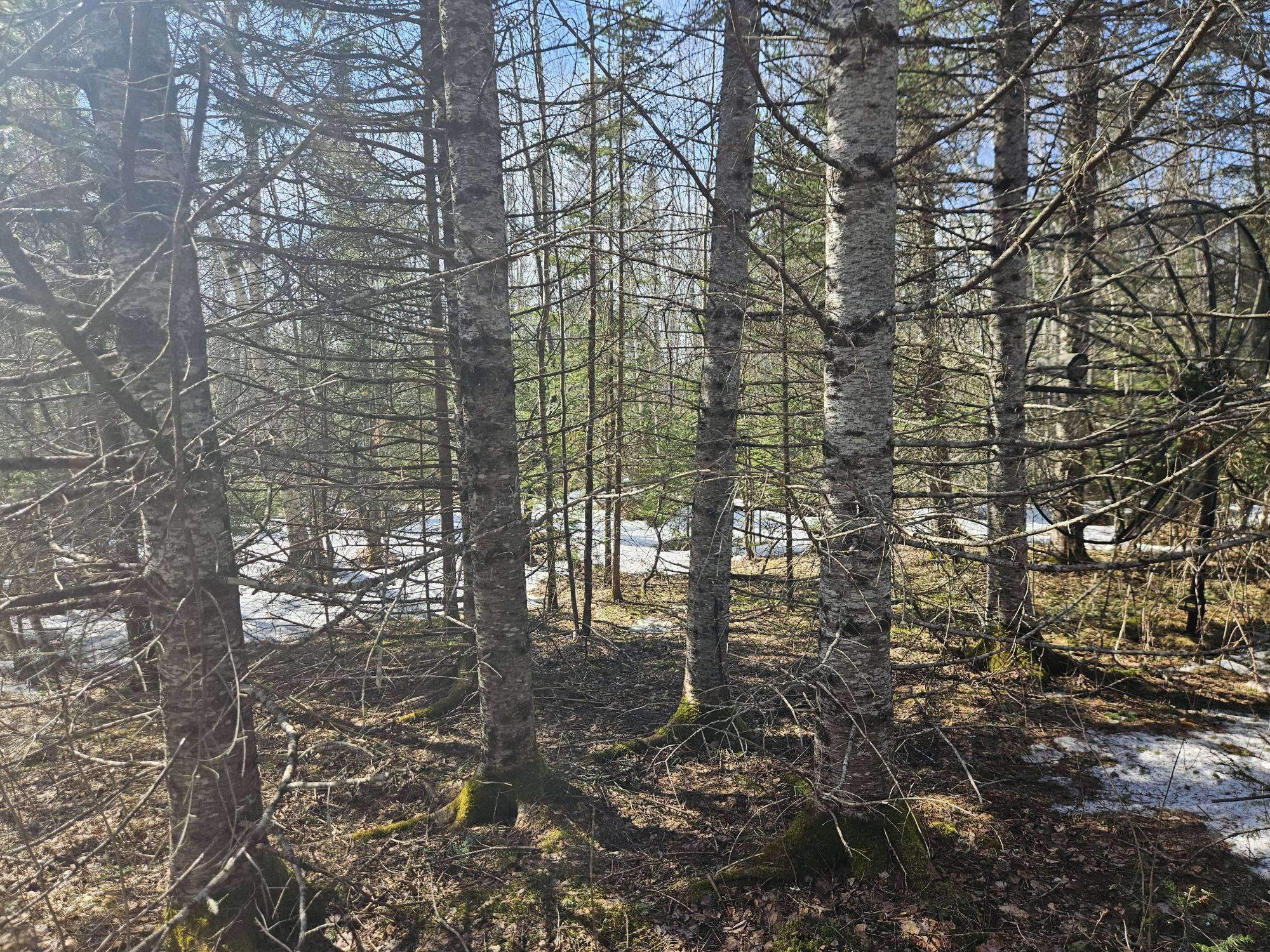 7-26-1 Huff Corner Road Wellington, ME 04942 - Photo 19 of 21 20250322_144126