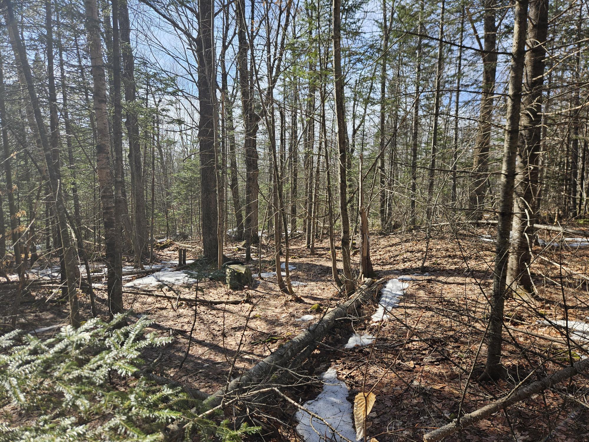 7-26-1 Huff Corner Road Wellington, ME 04942 - Photo 20 of 21 20250322_145021