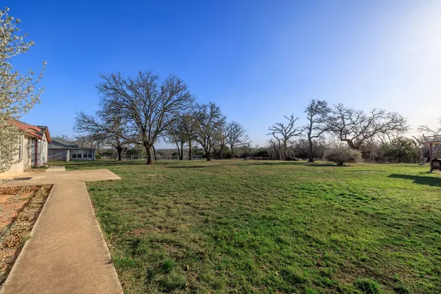 a view of a park with large trees