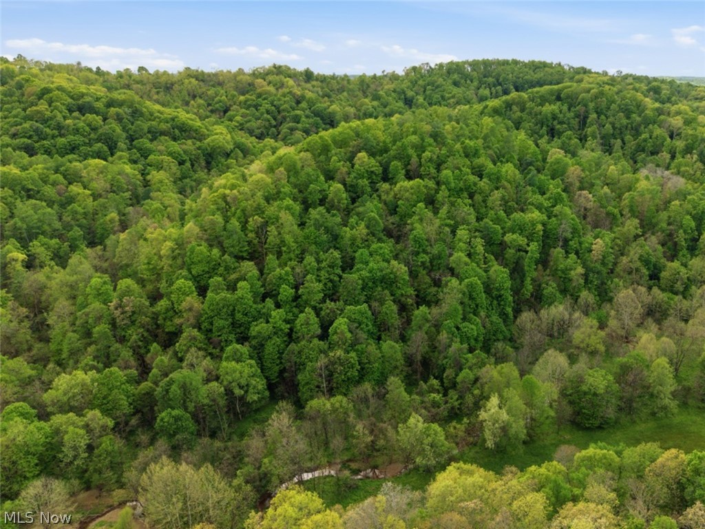 0 Pratts Run Road Woodsfield, OH 43793 - Photo 14 of 24