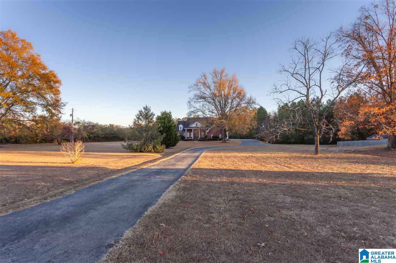 10400 Highway 11 Springville, AL 35146 - Photo 12 of 40