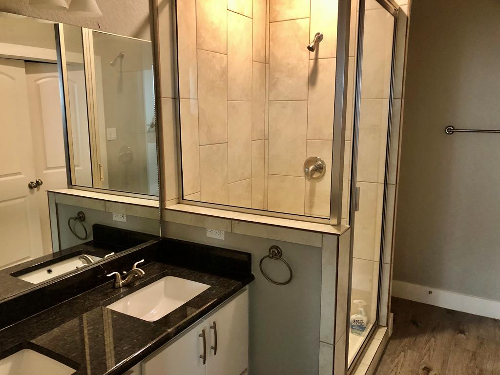 229 Riley Lane Fredericksburg, TX 78624 - Photo 11 of 16 a bathroom with a sink a mirror and a shower