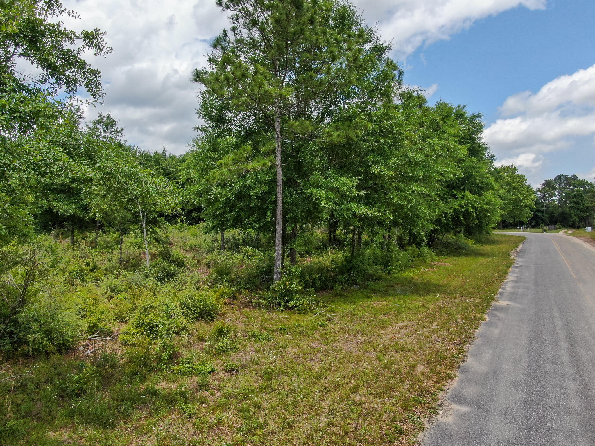 1365 Sexton Road DeFuniak Springs, FL 32433 - Photo 3 of 9 a view of a park with large trees
