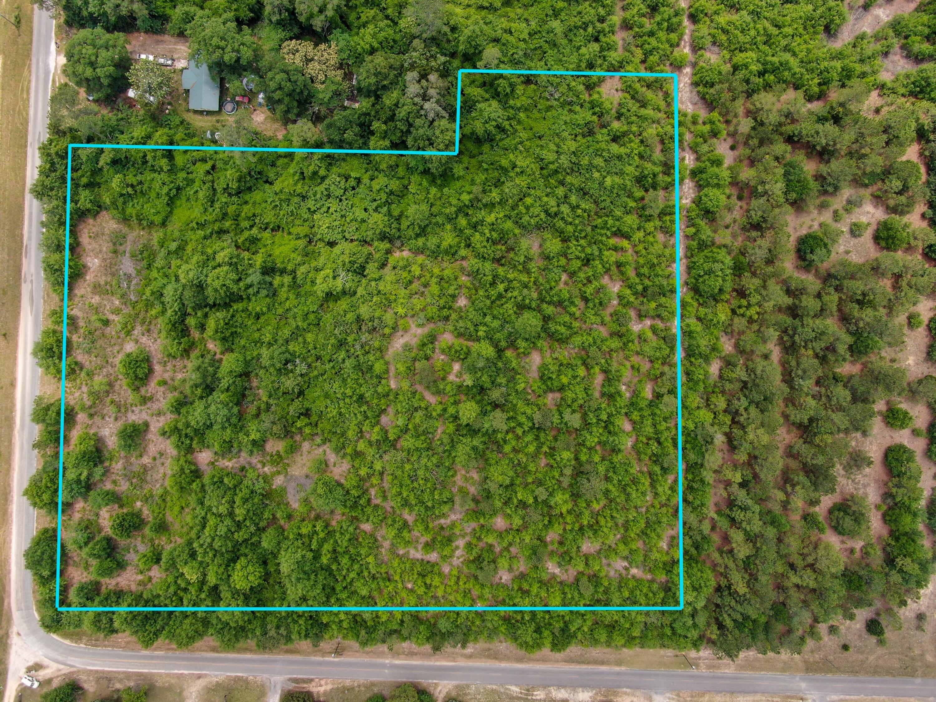 1365 Sexton Road DeFuniak Springs, FL 32433 - Photo 4 of 9 a view of a yard