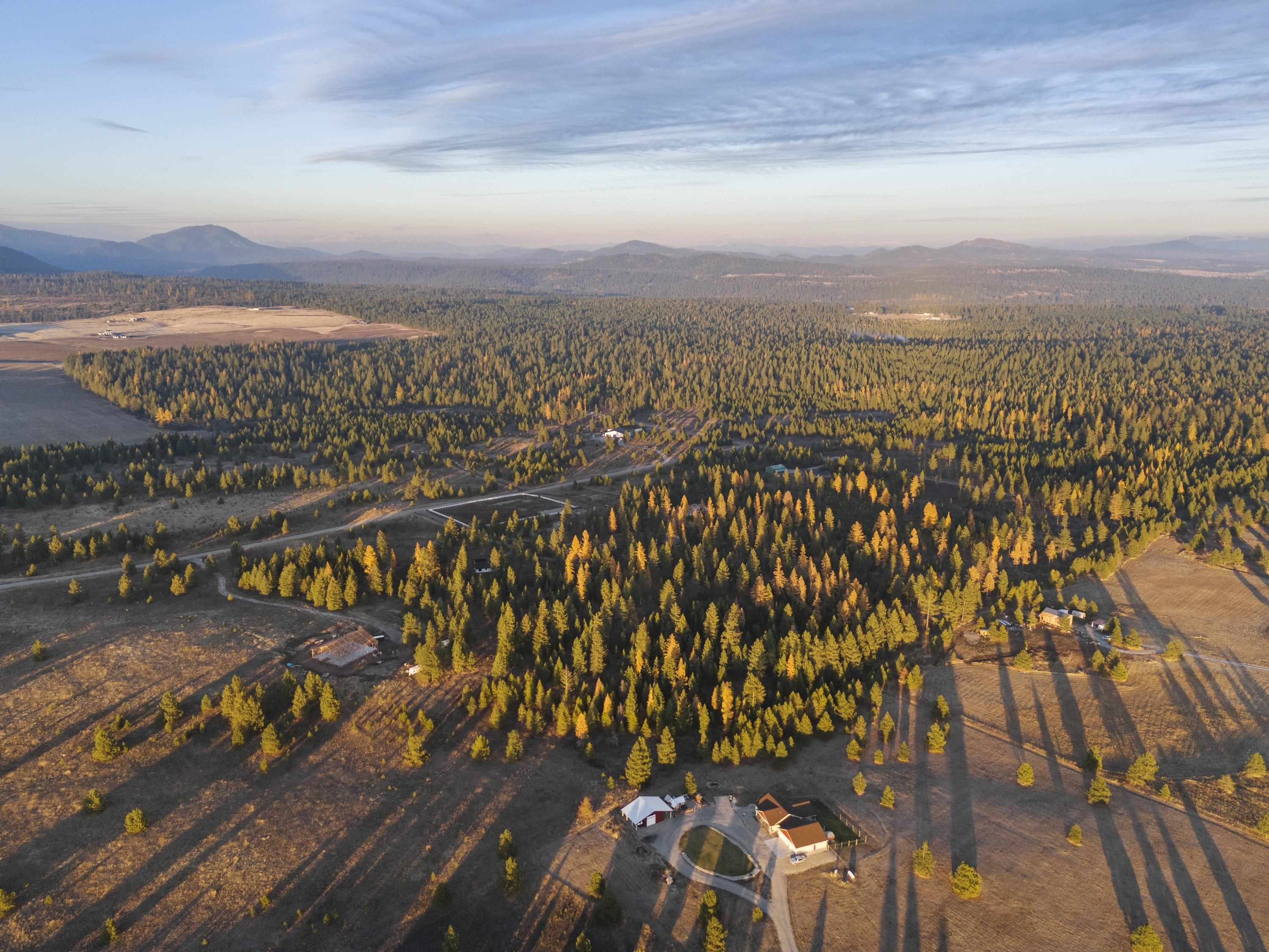 Tbd North Sherman Road, Unit LOT #2 Deer Park, WA 99006 - Photo 5 of 14 Gallery Image 5