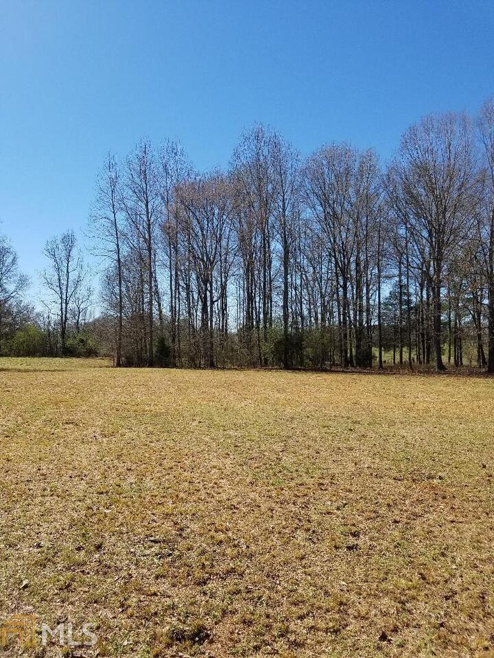 286 Millwood Road, Unit 13 & 14 Concord, GA 30206 - Photo 1 of 1 a street view with residential space