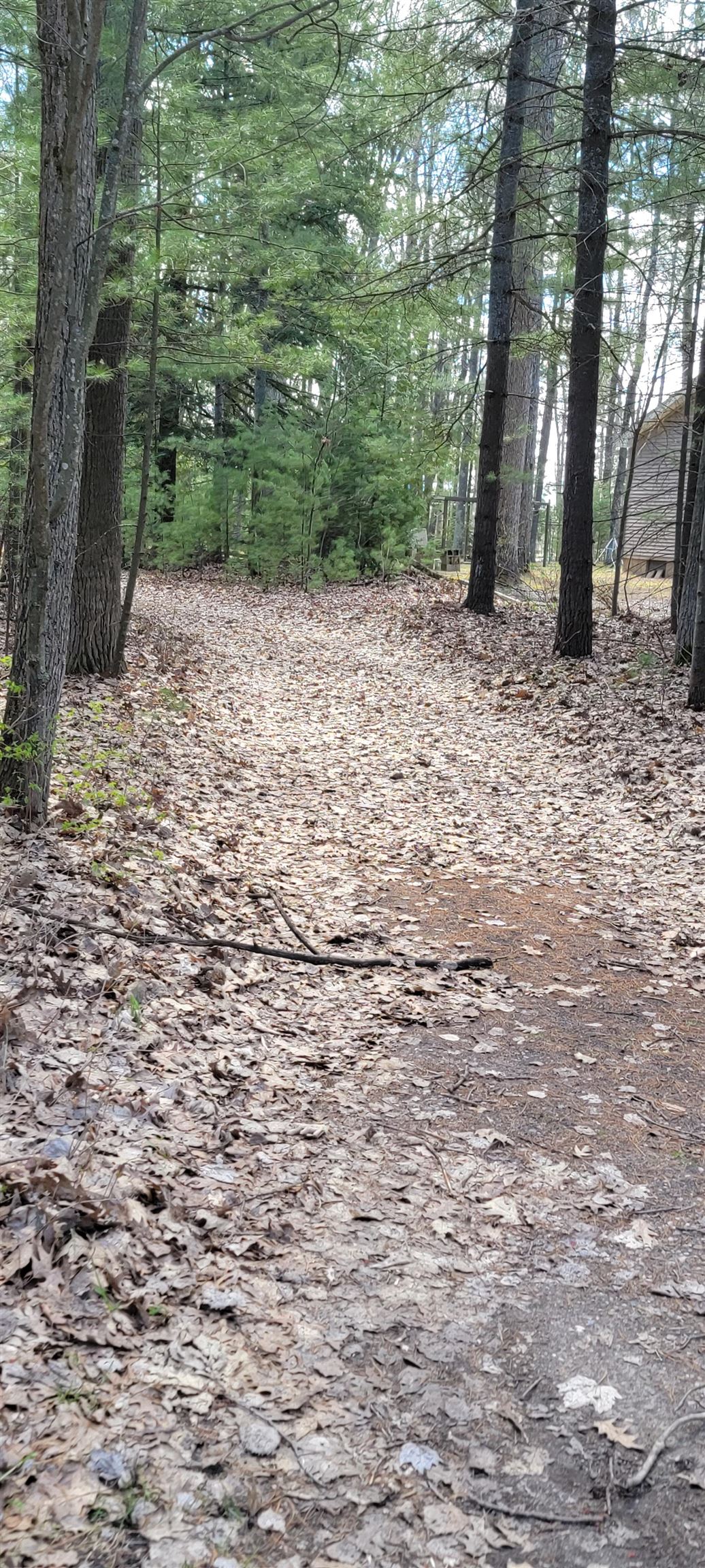 10320 Wildwood Road Interlochen, MI 49643 - Photo 27 of 32 1921812-7b90493d-1a2c-469c-8c12-4796f2fde7b4.JPG